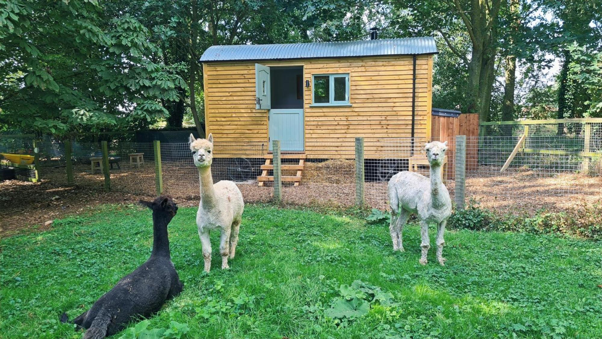 伊利 Horsley Hale Farm Glamping酒店 外观 照片