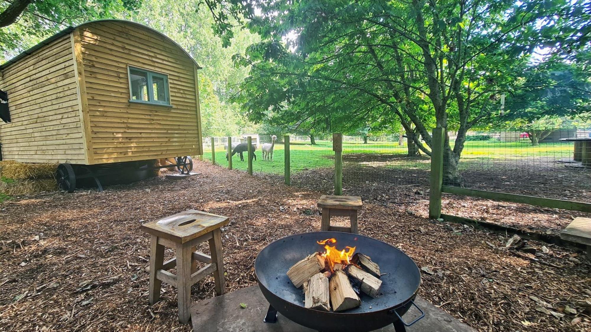 伊利 Horsley Hale Farm Glamping酒店 客房 照片
