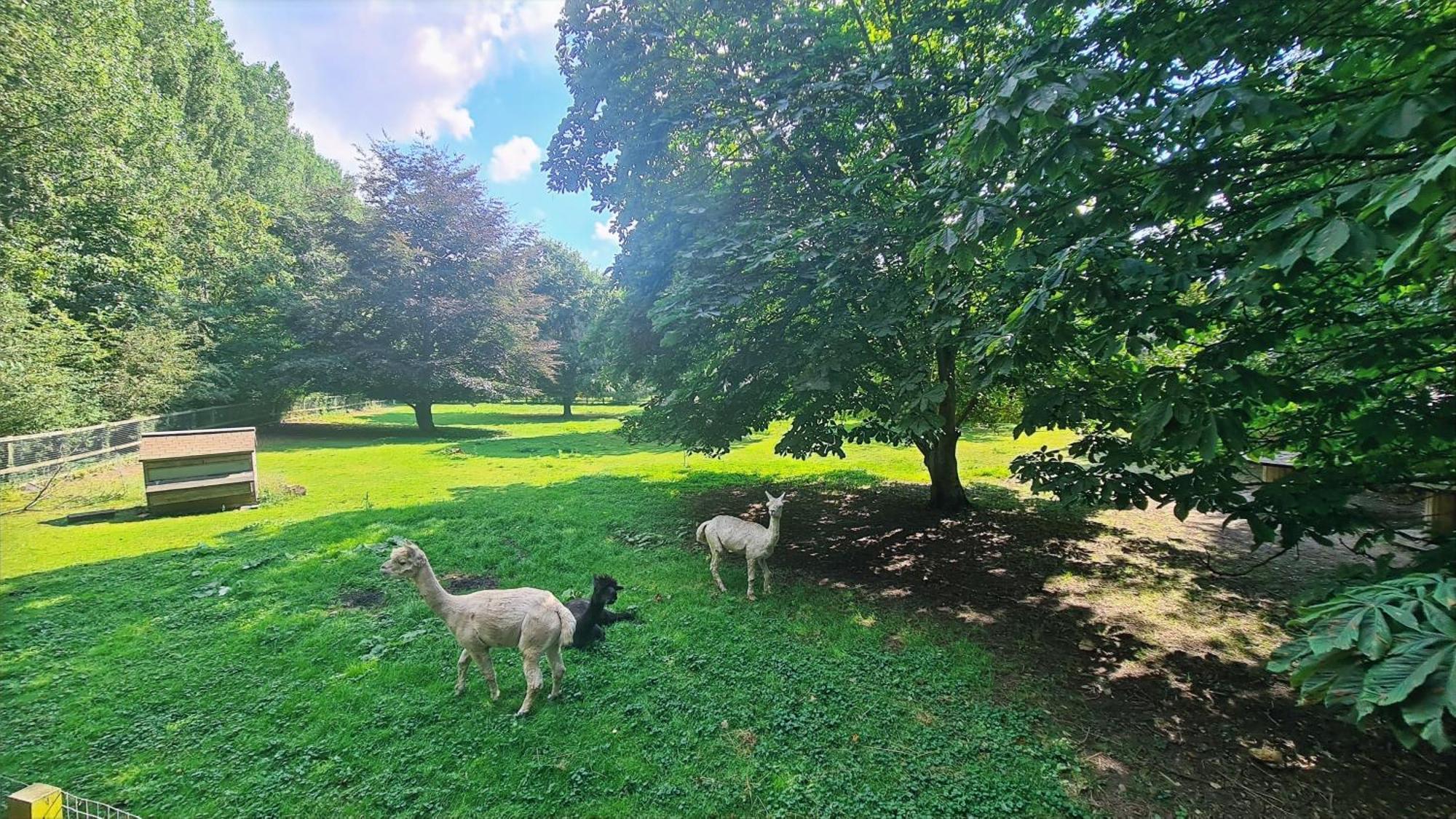 伊利 Horsley Hale Farm Glamping酒店 客房 照片